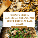 Lentil Mushroom Stroganoff: A Hearty Vegetarian Delight Recipe