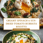 Spinach Sun-Dried Tomato Burrata Recipe