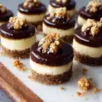 Mini Chocolate Cheesecake Bites Recipe