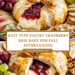 Puff Pastry Wrapped Cranberry Brie Recipe