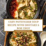 Potsticker Soup Recipe