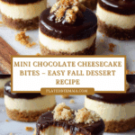 Mini Chocolate Cheesecake Bites Recipe