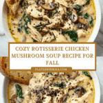 Rotisserie Chicken Mushroom Soup Recipe