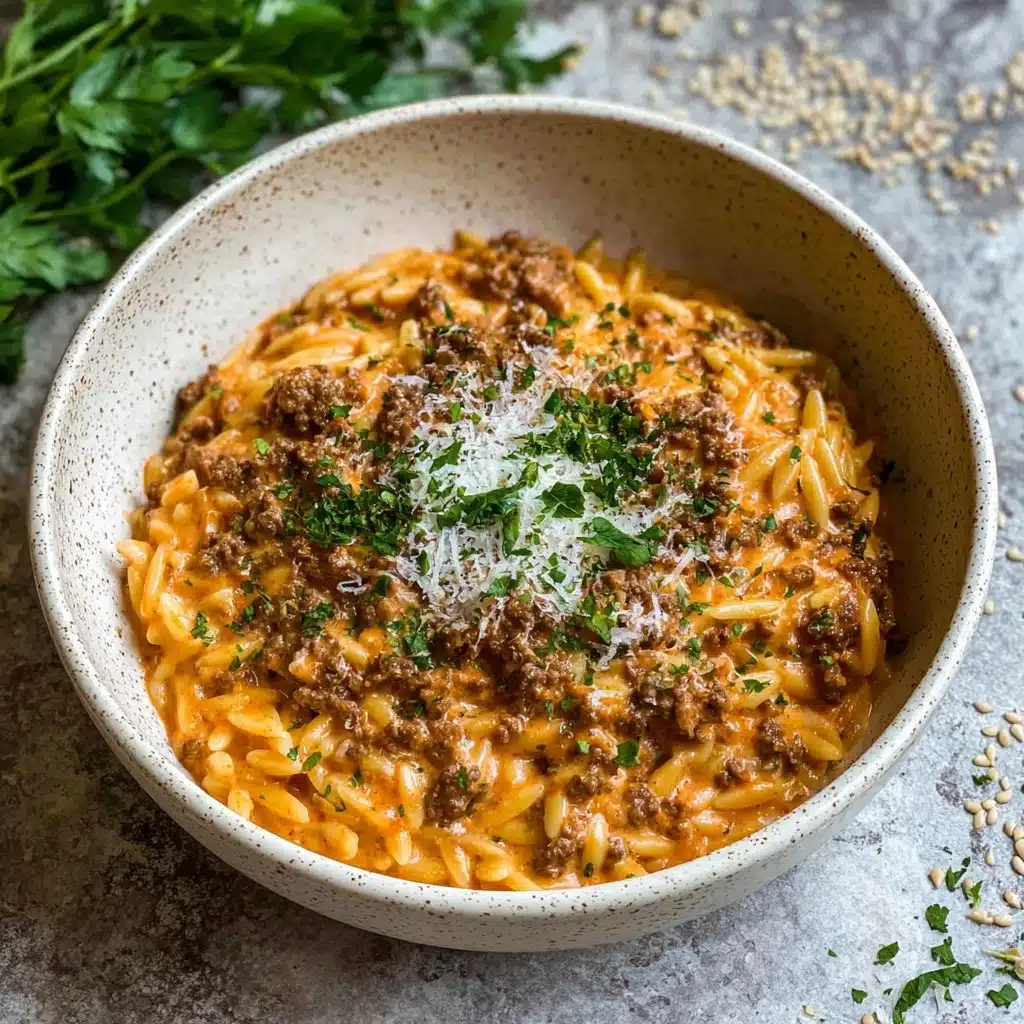 Hearty Ground Beef Orzo with Tomato Cream Sauce Recipe - Recipe Image