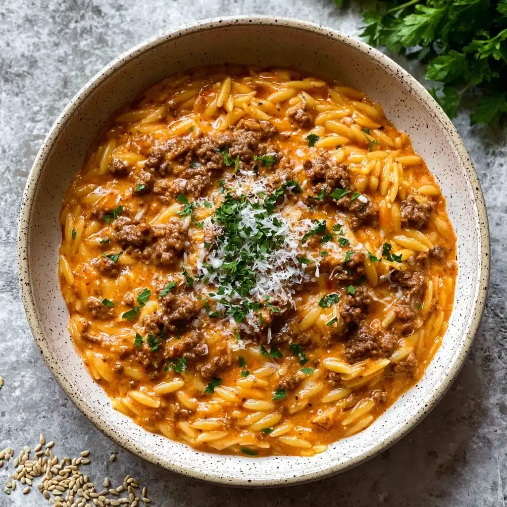 Hearty Ground Beef Orzo with Tomato Cream Sauce Recipe - Recipe Image