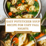 Potsticker Soup: A Comforting and Flavorful Bowl for Any Occasion