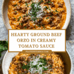 Hearty Ground Beef Orzo with Tomato Cream Sauce Recipe