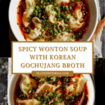 Wonton Soup with Spicy Broth Recipe
