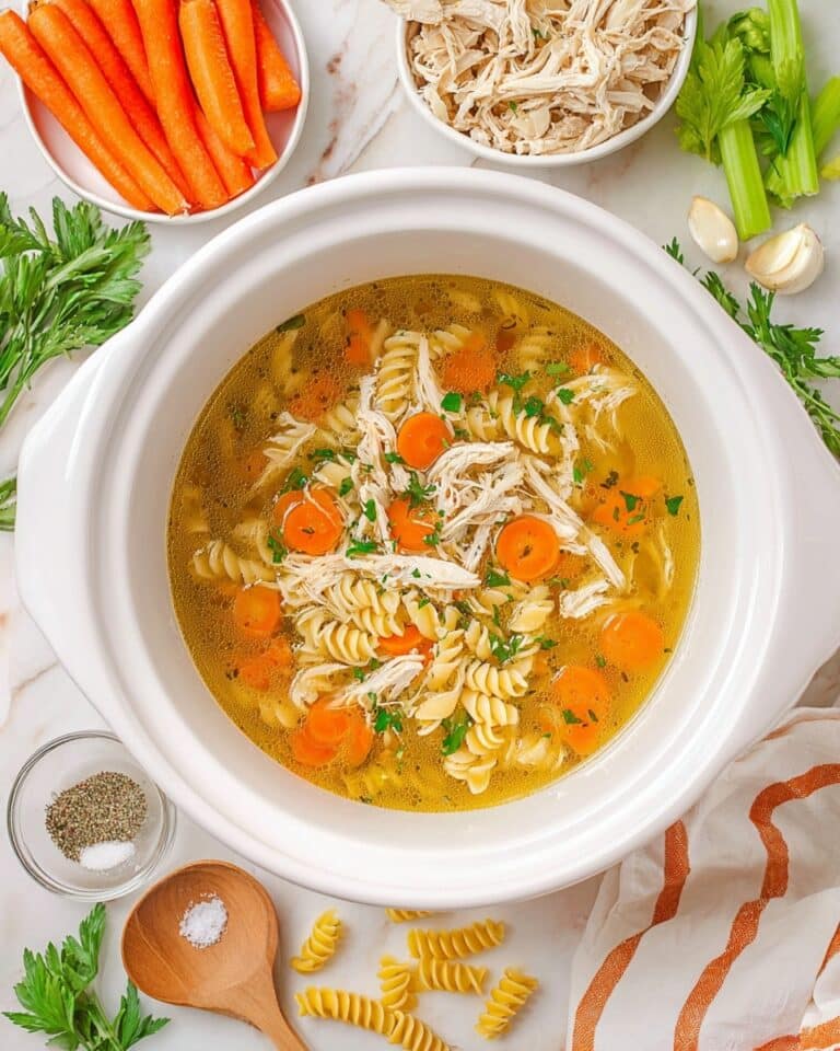 Crockpot Chicken Noodle Soup Recipe